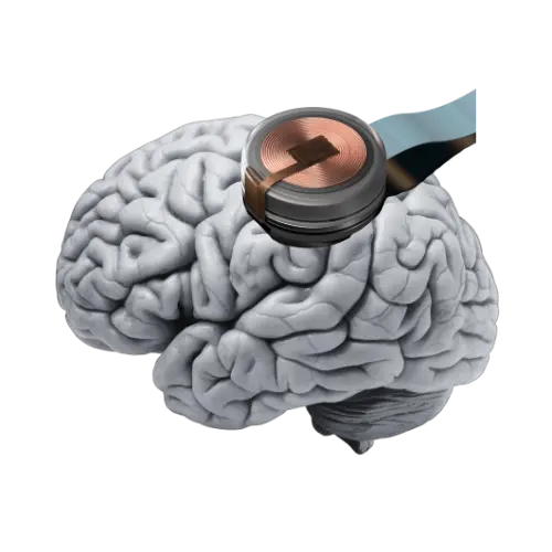 neuralink BrainChip